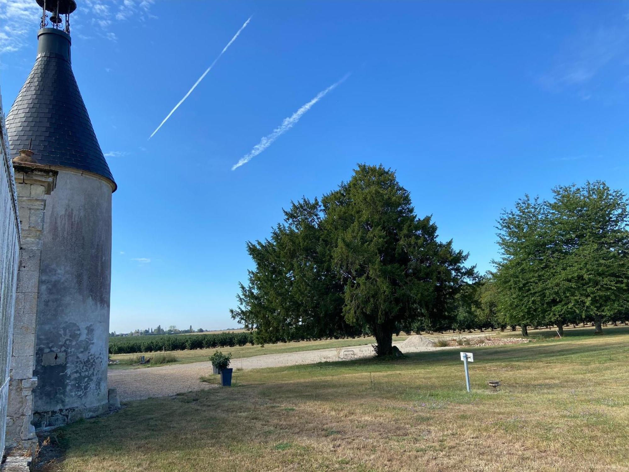 Maison Spacieuse Avec Jardin Privatif, Ideale Pour 6, Proche Orleans Et Chateaux De La Loire - Fr-1-590-236 *