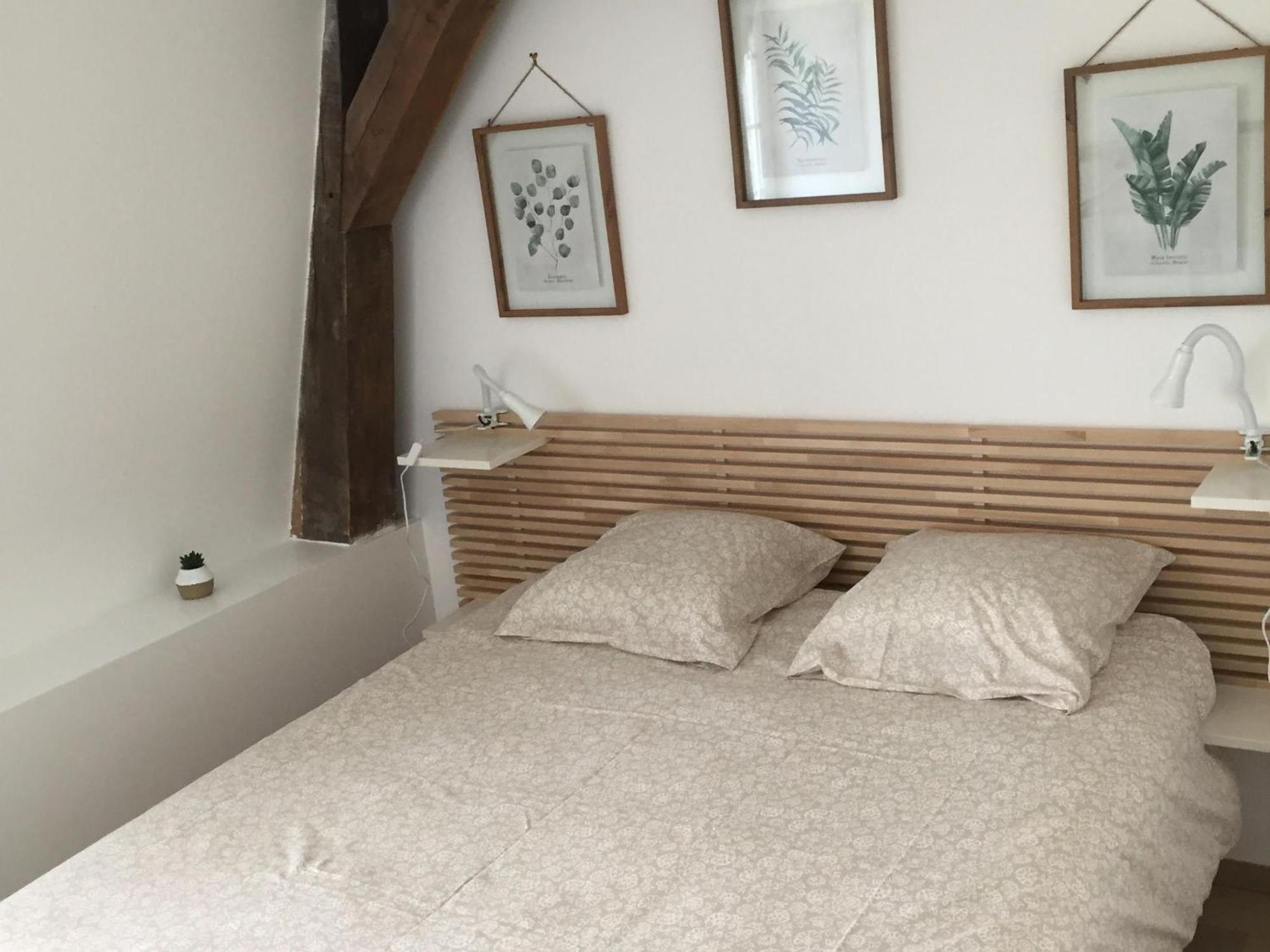 Maison Spacieuse Avec Jardin Privatif, Ideale Pour 6, Proche Orleans Et Chateaux De La Loire - Fr-1-590-236