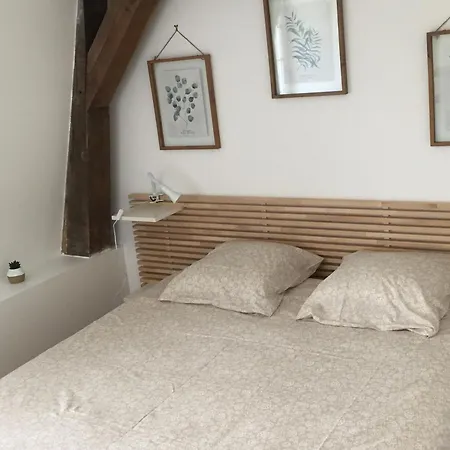 Maison Spacieuse Avec Jardin Privatif, Ideale Pour 6, Proche Orleans Et Chateaux De La Loire - Fr-1-590-236 Loury Buitenkant foto